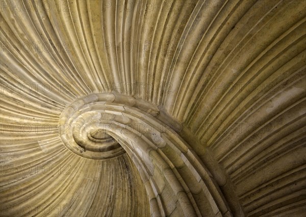 View from below of the famous freestanding staircase Grosser Wendelstein in Hartenfels Castle