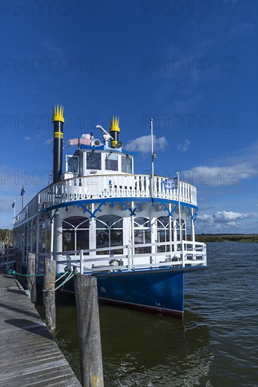 Paddle wheel steamer