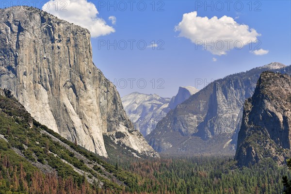 View of the Yosemite Valley