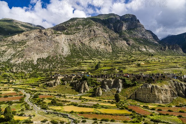 Village Manang with the agricultural terrace fields