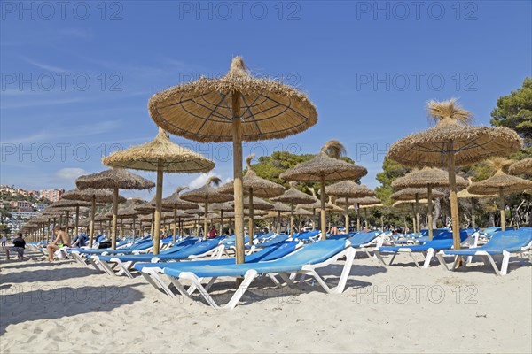 Beach with deck chairs and parasols