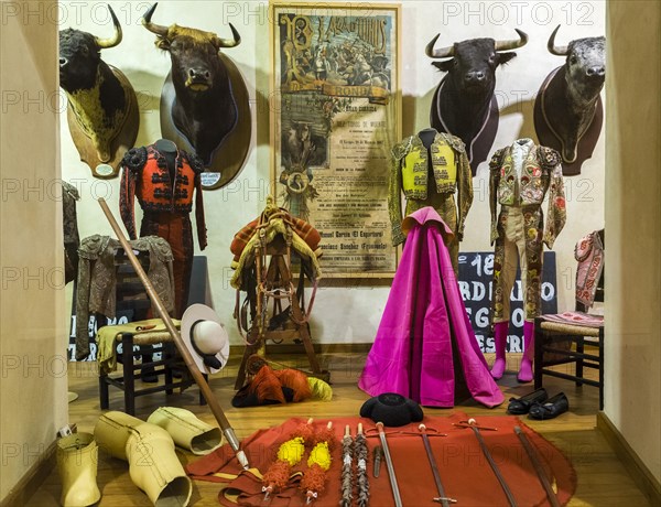 Showcase of famous bulls and exhibits by important bull-fighters