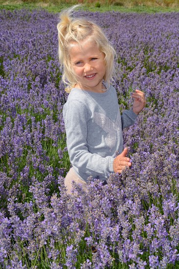 Girl in lavender field