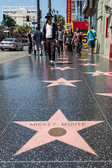 Star Mickey Mouse on the Walk of Fame