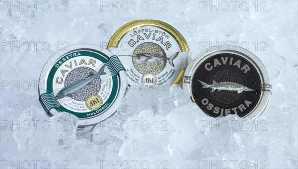 Three cans of caviar on ice