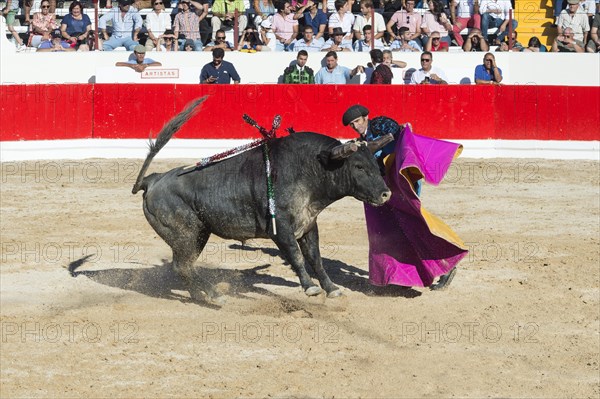 Bullfight in Alcochete