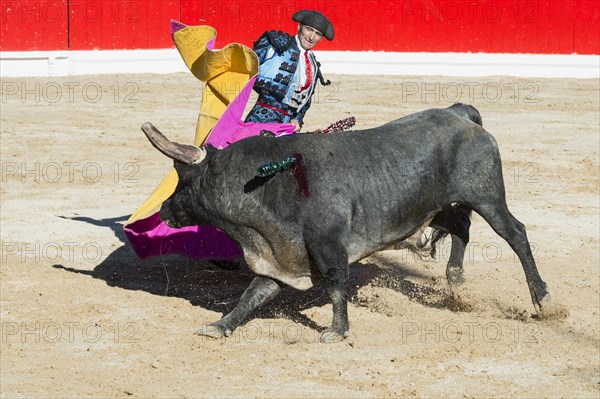 Bullfight in Alcochete