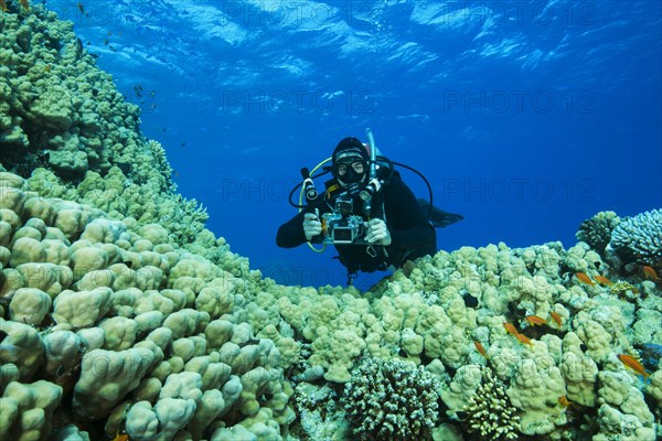 Camera man scuba diver swims near Dome Coral