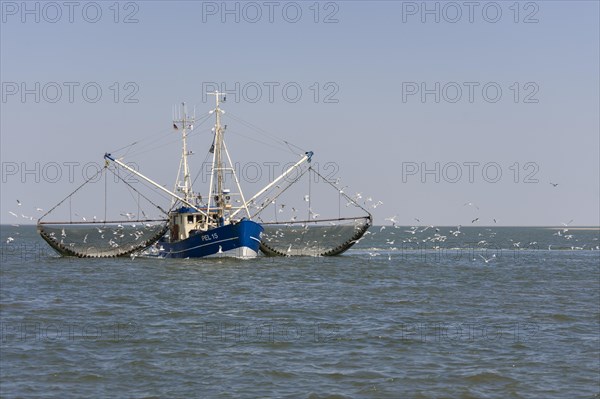 Fishcutter with casted nets at crabs catching