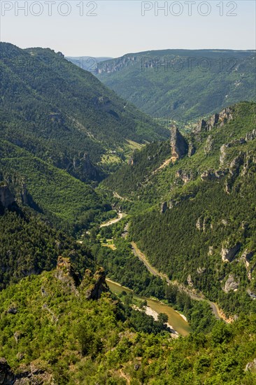 Gorges du Tarn