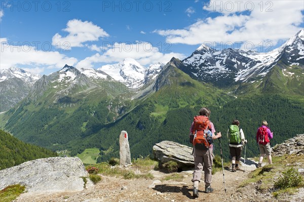 Three hikers hike on a hiking trail