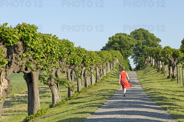 Woman in red dress walking on Feston avenue