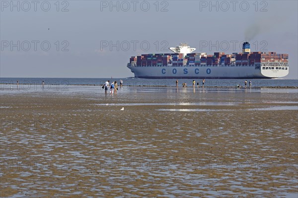 Container ship in the Wadden Sea