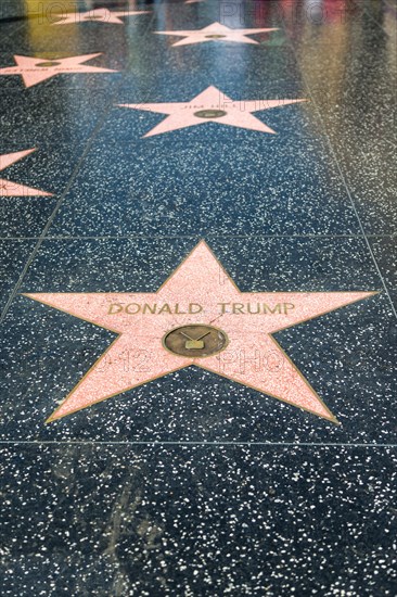 Star Donald Trump on the Walk of Fame