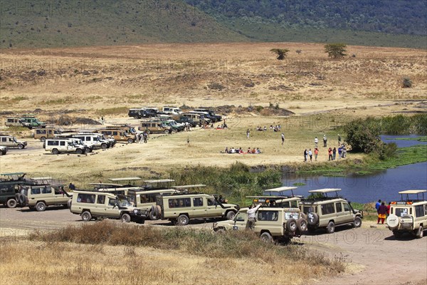 Tourists on safari