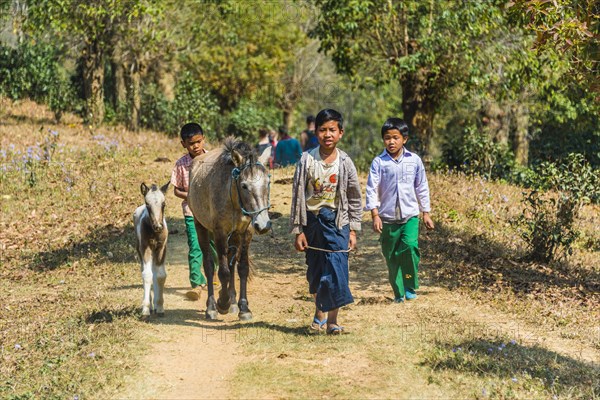 Little boys with horses