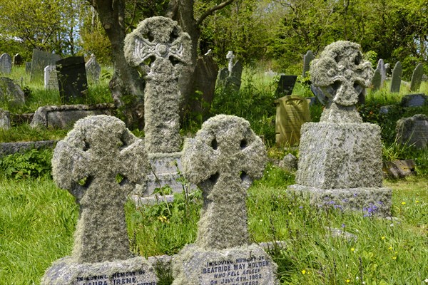 Stone crosses with lichens