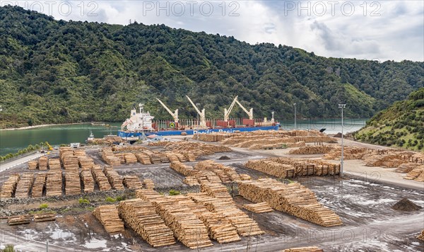 Wood stored in port