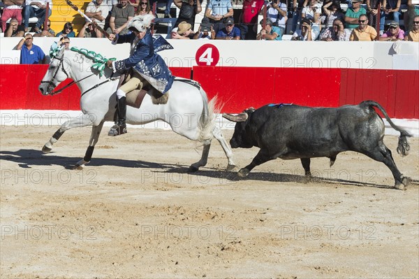 Bullfight in Alcochete