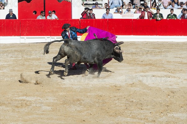 Bullfight in Alcochete