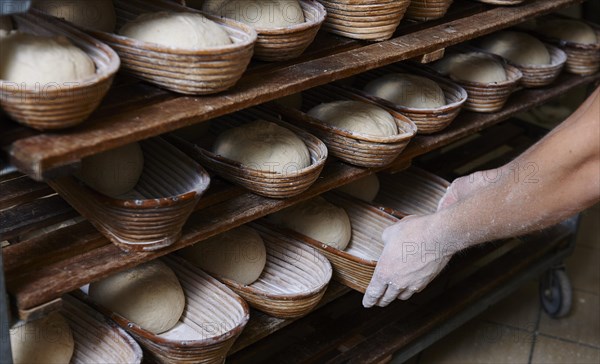 Organic bakery preparing bread loaves in baking baskets