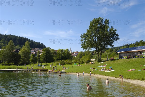 Natural swimming pool in the spa park