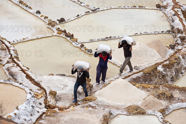 Workers carry salt bags through salt garden