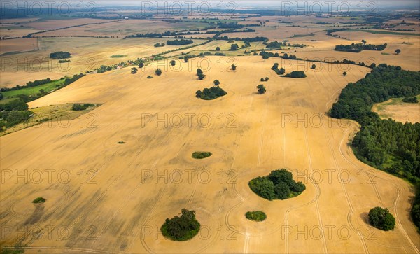 Agricultural landscape