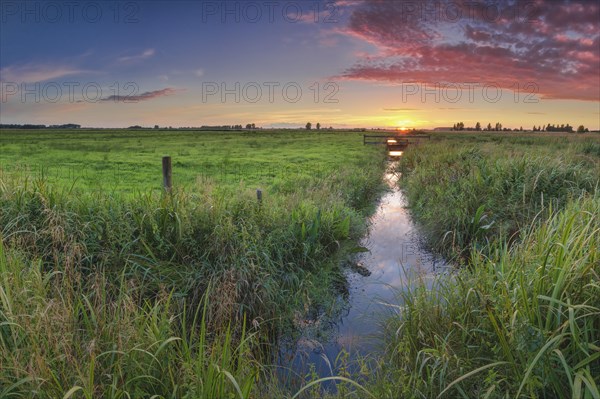 Irrigation ditch