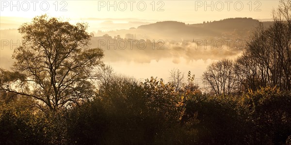 Autumnal forest and lake