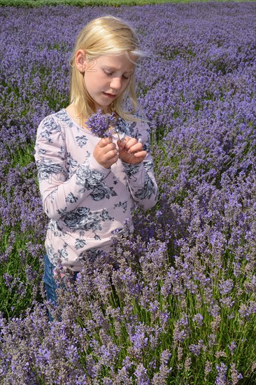 Girl in lavender field