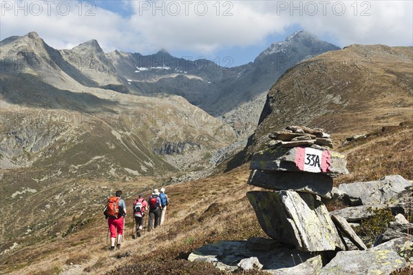 Hikers on hiking trail