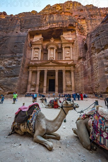 Dromedaries in front of the Pharaoh's treasure house carved out of rock