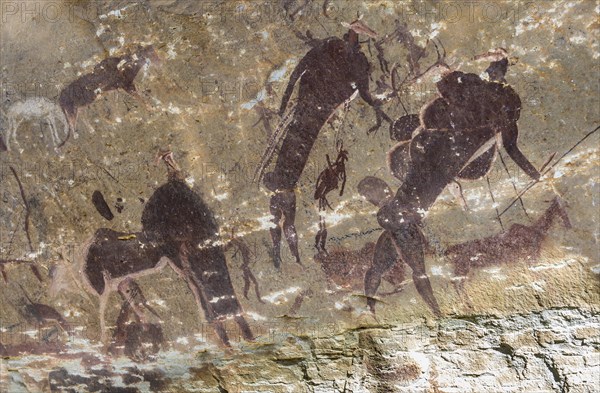 San rock paintings in a cave