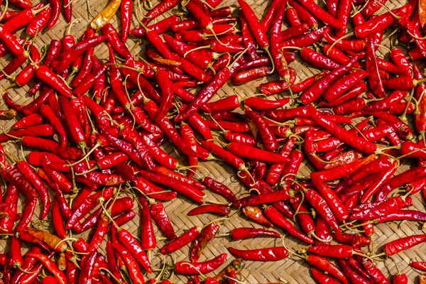 Chili's are drying in the sun on a braided mat