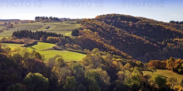 Autumn landscape