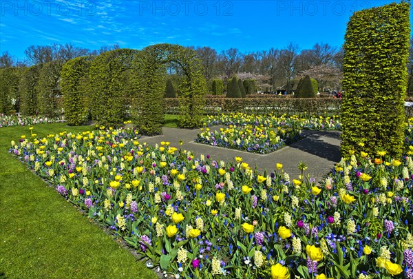 Colorful flower beds