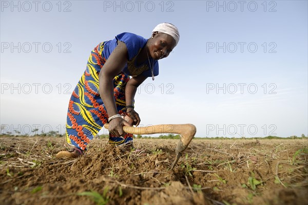 Woman sowing sorghum