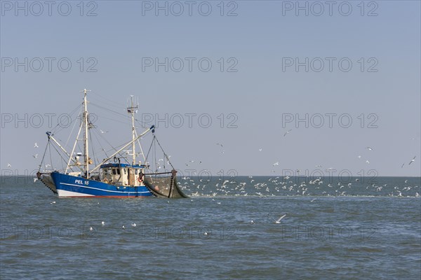 Fishcutter with casted nets at crabs catching