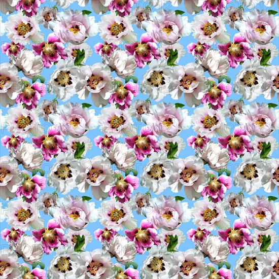 Wrapping paper