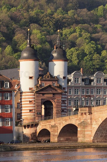 Karl Theodor Bridge with bridge gate