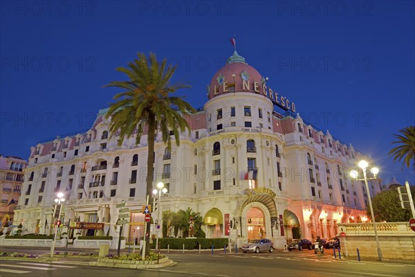 Hotel Le Negresco with palm tree