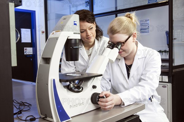 Pharmacist at the microscope in a genetic laboratory