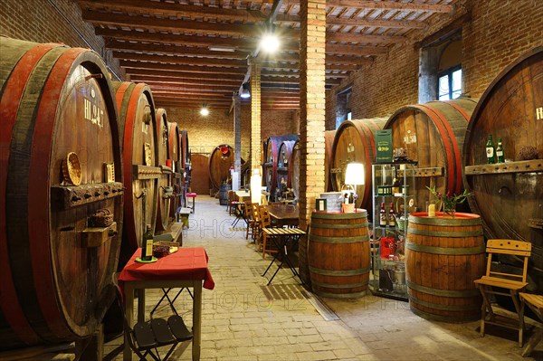 Barrels in cellar