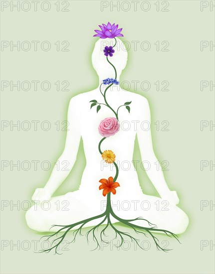 Woman sitting in lotus pose with seven chakra symbols represented as associated with chakras flowers and colors growing from a root chakra
