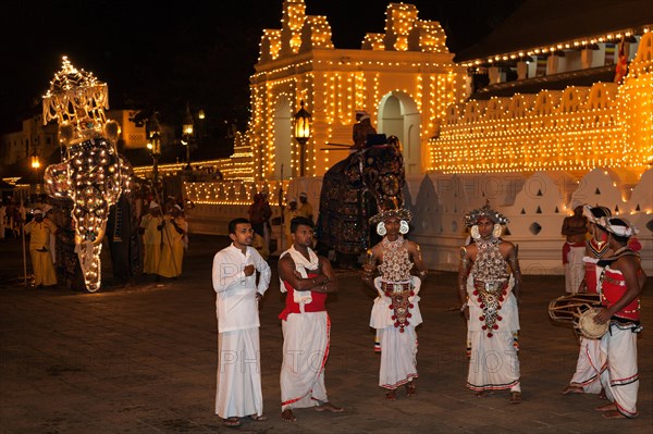 Kandy Dancers and decorated elephants