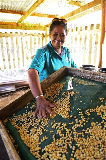 Woman with coffee beans on a sieve