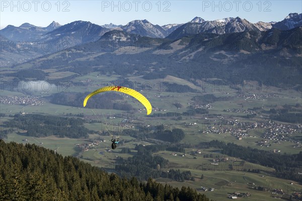 Paragliders