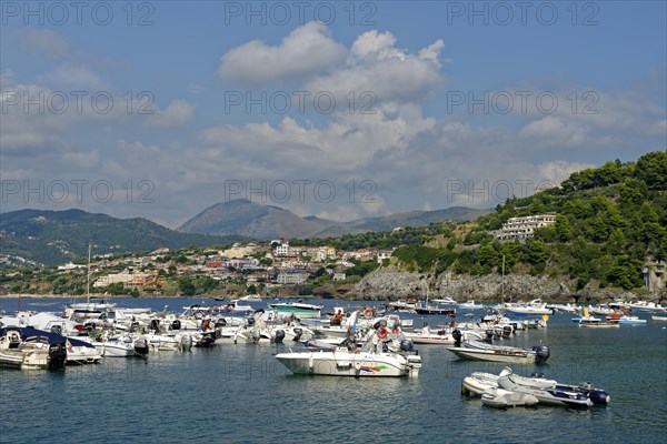 Harbour with boats