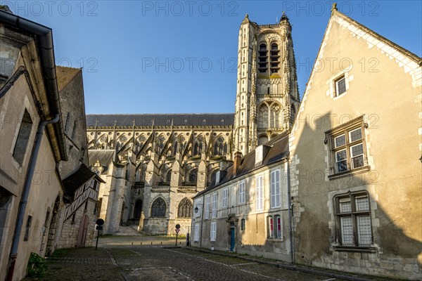 Cathedral Saint Etienne